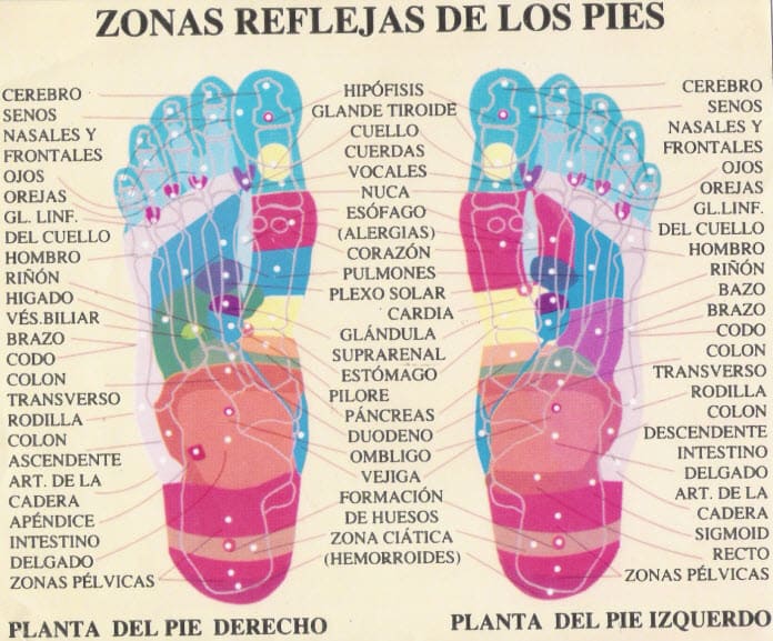 reflexología pies _ reflexoterapia pies