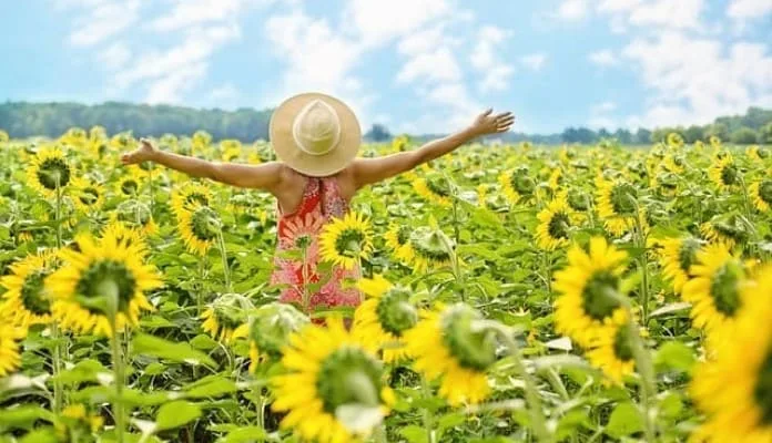 Las Mujeres Solteras son Más Felices, Estudios y la Ciencia lo Dicen