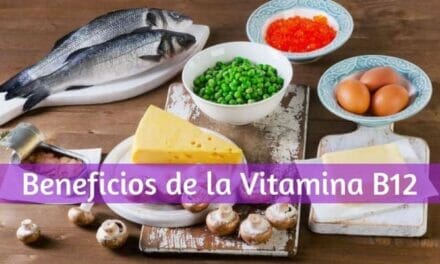 Beneficios de la Vitamina B12 Para el Organismo