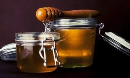 ¿Cuáles son los Mejores Productos que se Hacen con Miel de Abeja?